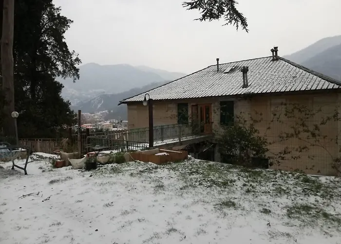 B&B Il Cedro